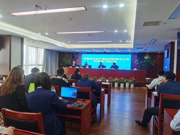徽鹽地產集團開展明源與財務接口實操培訓
